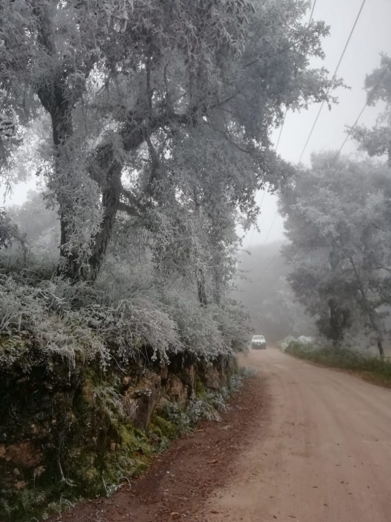 nieve-xichu