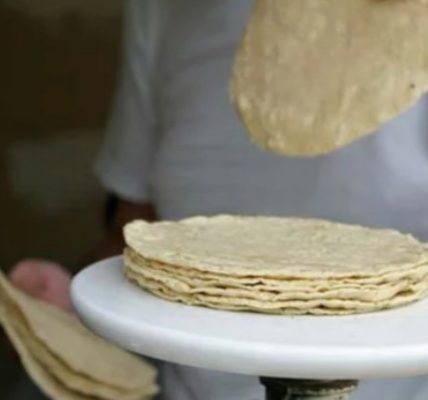 Los productores de masa y tortilla de Guanajuato esperan aumento al precio de la tortilla