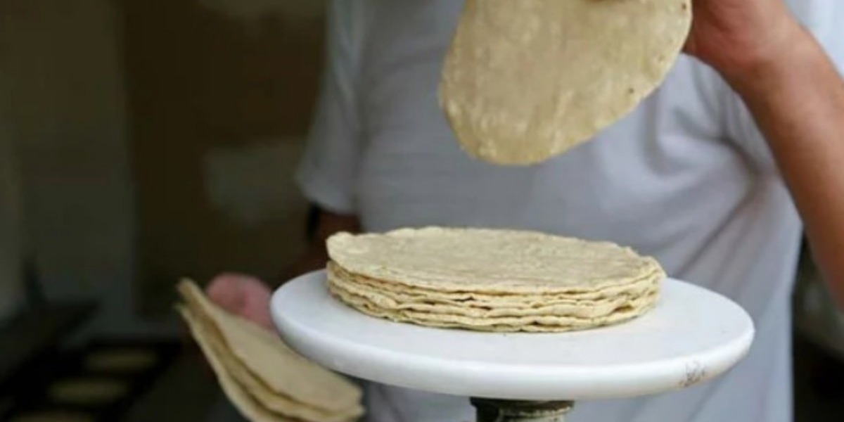 Los productores de masa y tortilla de Guanajuato esperan aumento al precio de la tortilla