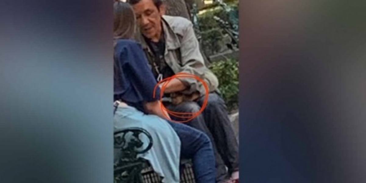 Abusan de perrito drogado para pedir limosna