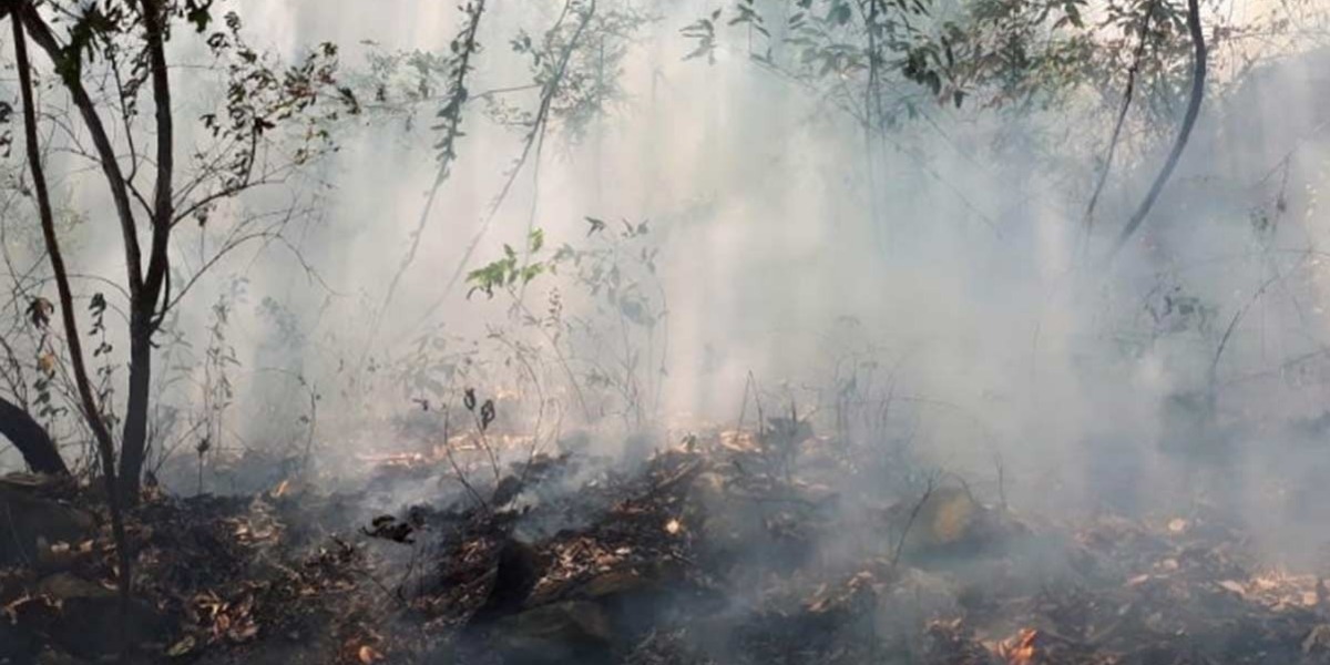 Para lograr apagar el incendio se necesitaron tres días, apoyo de un helicóptero y aún así, fueron consumidas 60 hectáreas de una reserva natural