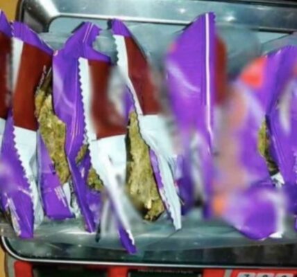 Elementos de la Guardia Nacional detectaron un cargamento de marihuana adentro de bolsas de papitas fritas