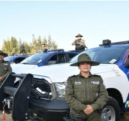 Se ha realizado también patrullaje en más de 1,300 colonias en cabeceras municipales, con importantes resultados en el combate contra el delito y la impunidad