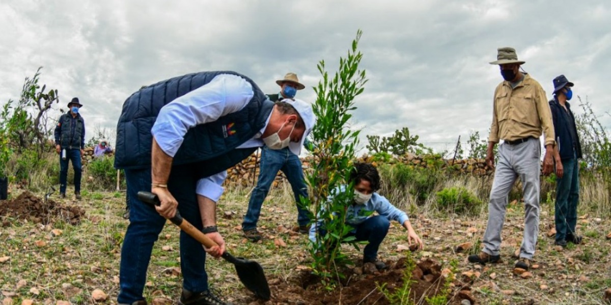 El presidente municipal, Luis Alberto Villarreal, dijo que uno de los retos para San Miguel de Allende es plantar hasta 50 mil árboles en 2020