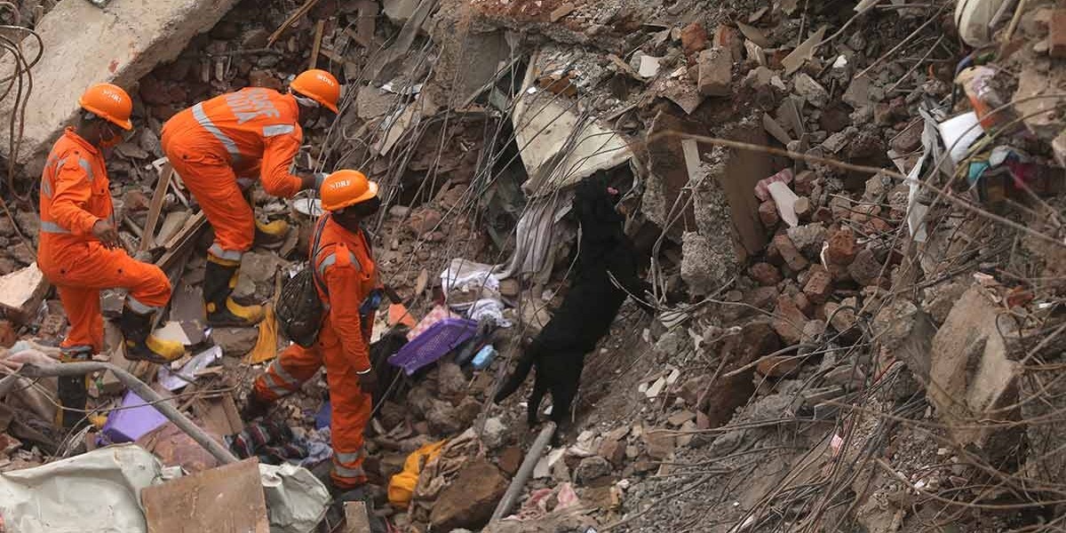 Con ayuda de perros entrenados, los cuerpos de rescate ya lograron la recuperación de 11 cuerpos, y un niño vivo de cuatro años