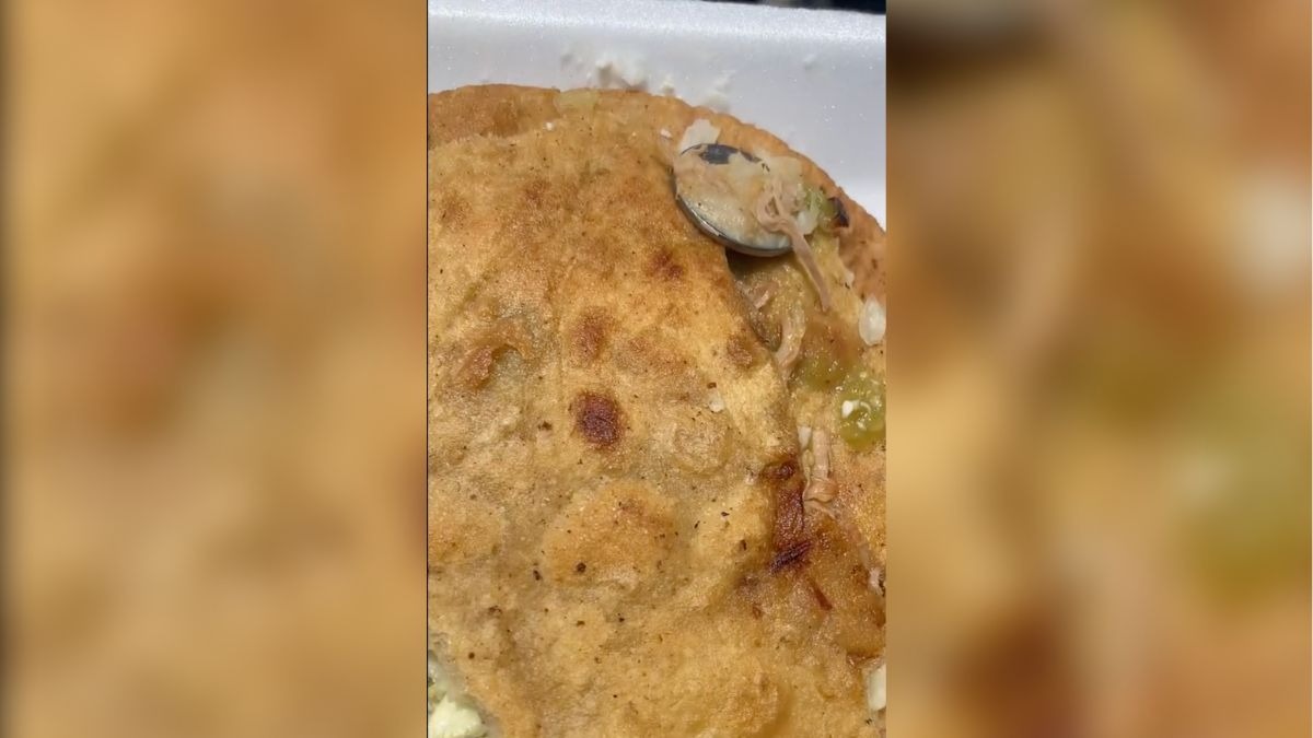moneda en gordita