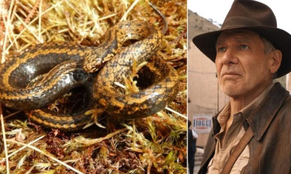 serpiente harrison ford