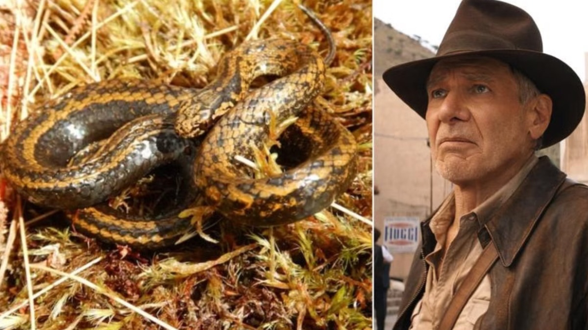 serpiente harrison ford