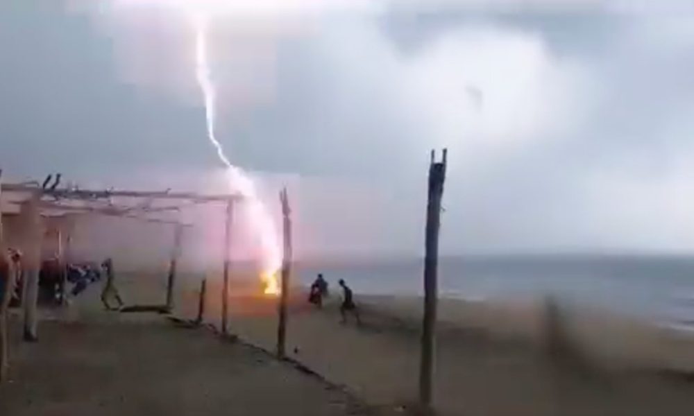 Muere leonesa en Playa de Maruata