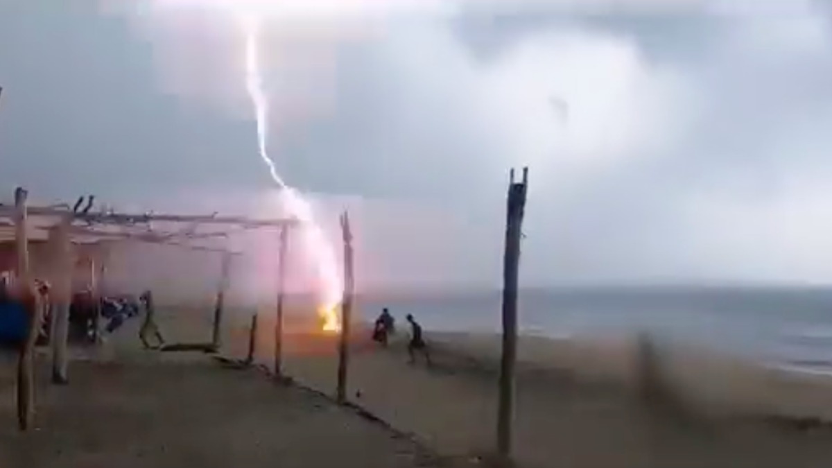 Muere leonesa en Playa de Maruata