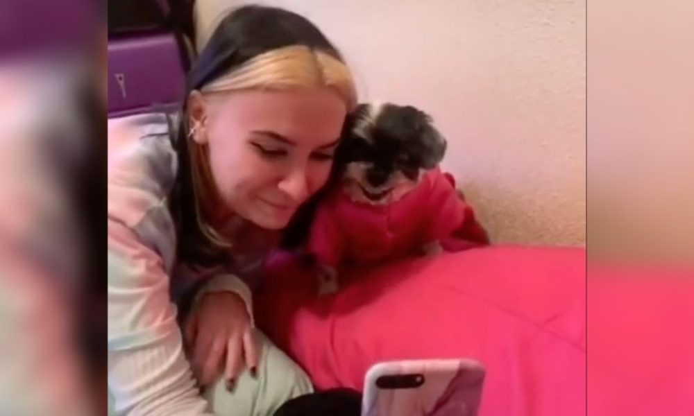 Perrito sonríe para las selfies