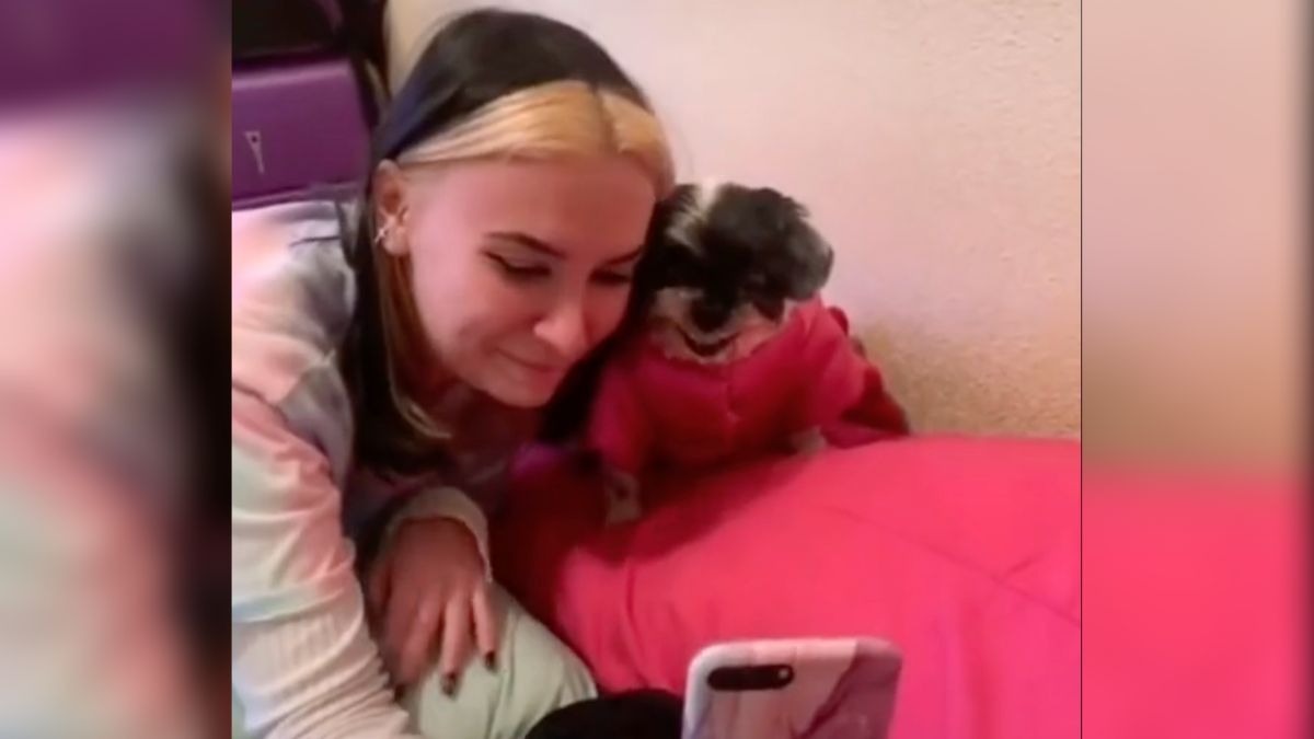 Perrito sonríe para las selfies