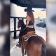 Mujer pide Starbucks montada a caballo