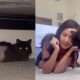 Mujer adopta gatita con cáncer