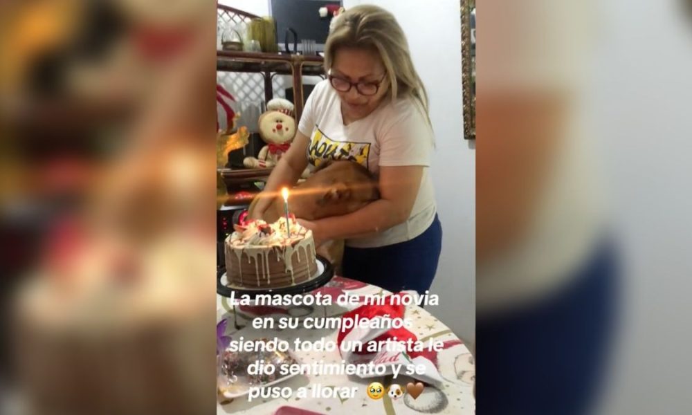 Perrito llora en su fiesta de cumpleaños