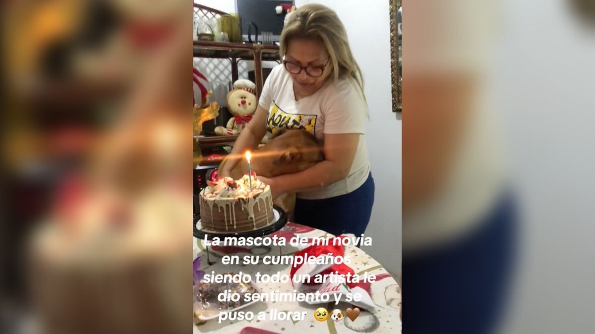 Perrito llora en su fiesta de cumpleaños