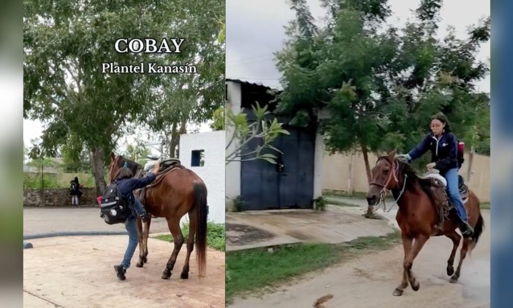 Quinceañera pide un caballo como regalo