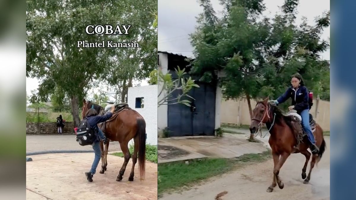 Quinceañera pide un caballo como regalo