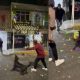 Perrito se roba la piñata en una posada